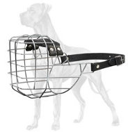 https://www.all-about-great-dane-dog-breed.com/images/Great-Dane-All-Purpose-Everyday-Dog-Breed-Muzzle-M9.jpg