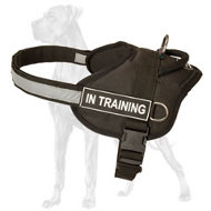 All Weather Nylon Harness for Great Dane  All Weather Nylon Harness for Great Dane