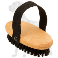 Doberman Dog Professional Bristle Brush for Grooming : Doberman Breed: Dog  Harness, Doberman Muzzle, Dog Collars