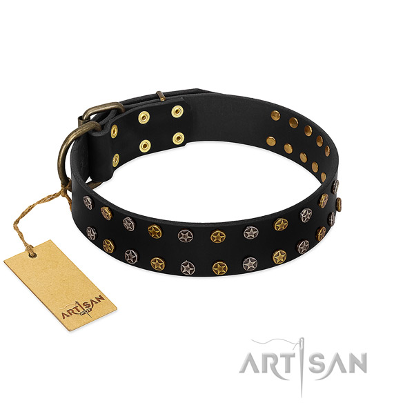 Awesome natural leather dog collar with durable adornments
