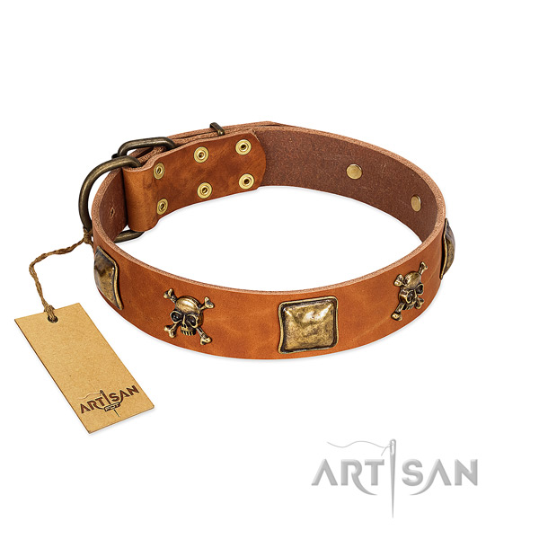 Impressive full grain natural leather dog collar with corrosion resistant embellishments