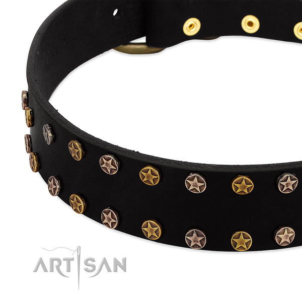 Stunning adornments on genuine leather collar for your pet
