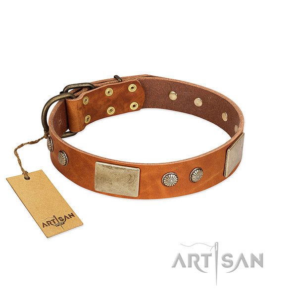 Easy wearing full grain leather dog collar for basic training your pet