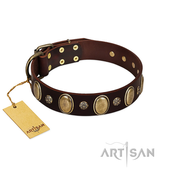 Everyday use quality full grain genuine leather dog collar with studs