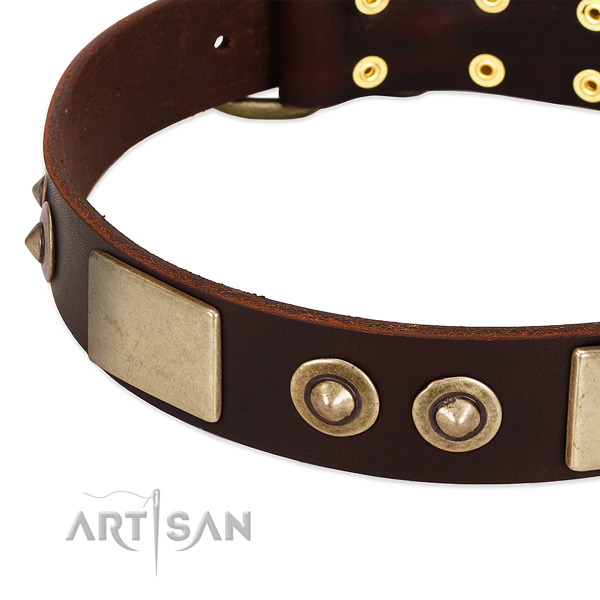 Durable embellishments on leather dog collar for your canine