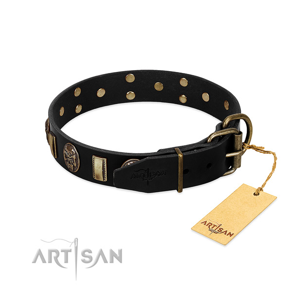 Leather dog collar with corrosion resistant hardware and adornments