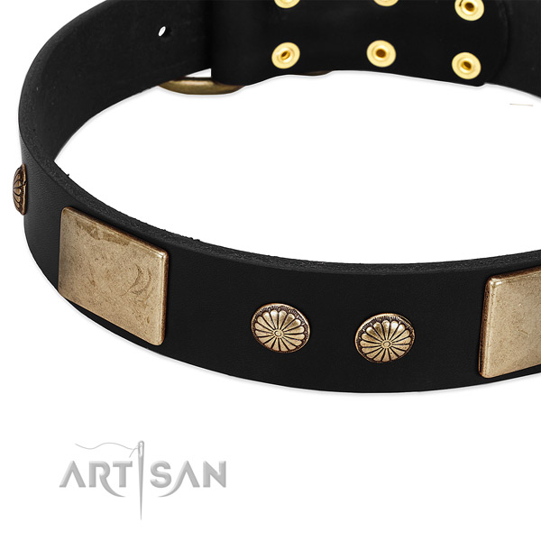 Genuine leather dog collar with embellishments for daily use