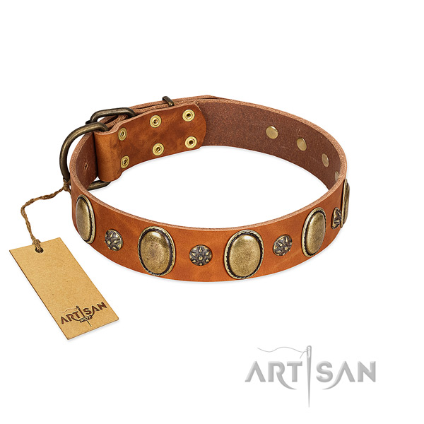 Fancy walking quality genuine leather dog collar with adornments