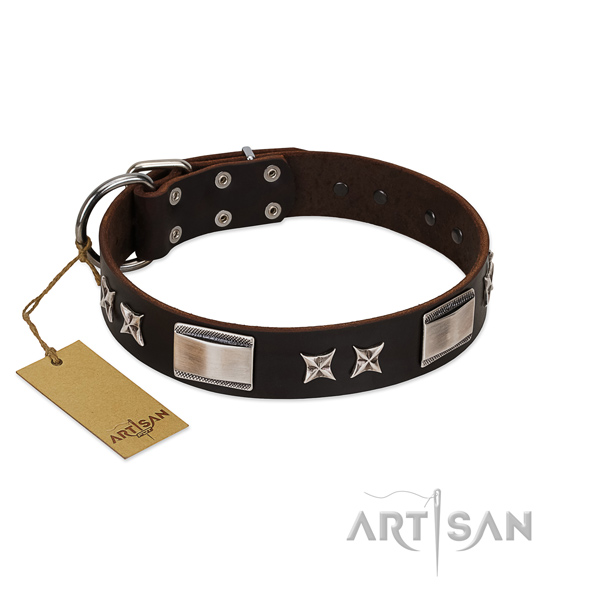 Remarkable dog collar of genuine leather