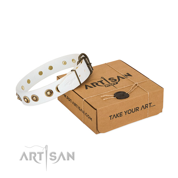 Rust resistant traditional buckle on full grain natural leather dog collar for your dog