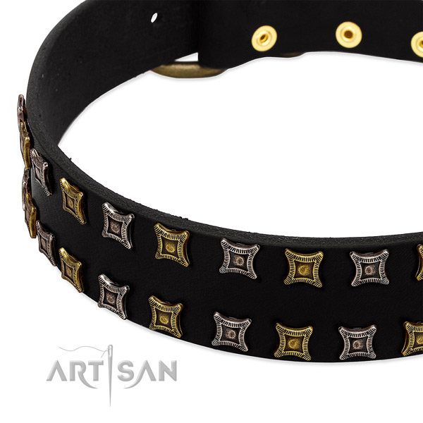 Best quality leather dog collar for your beautiful canine