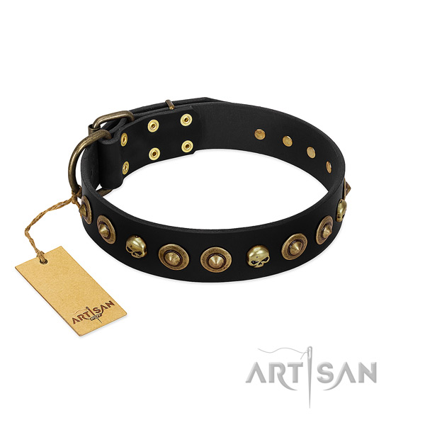 Natural leather collar with unusual decorations for your pet