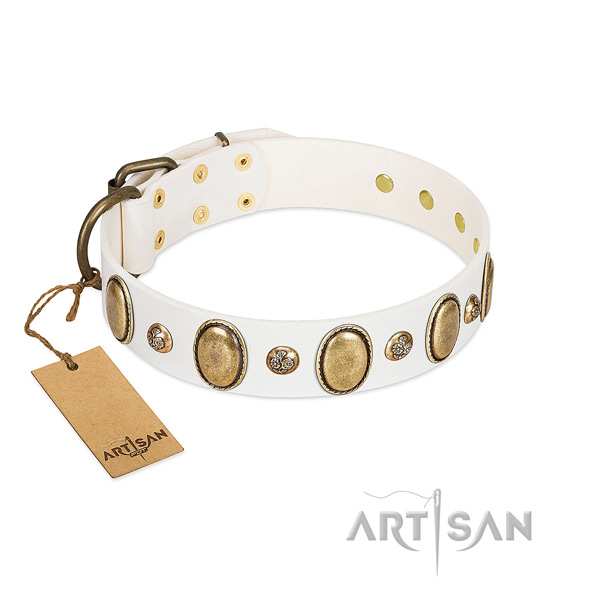 Leather dog collar of quality material with fashionable studs