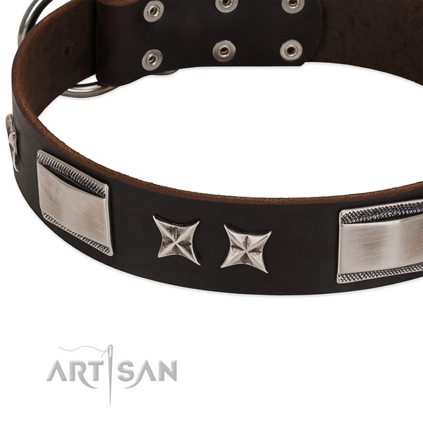 High quality full grain genuine leather dog collar with corrosion proof fittings