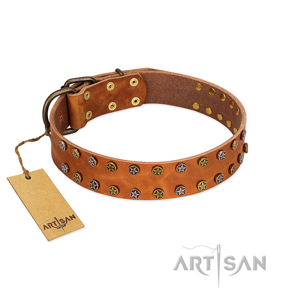 Everyday walking top notch full grain leather dog collar with decorations