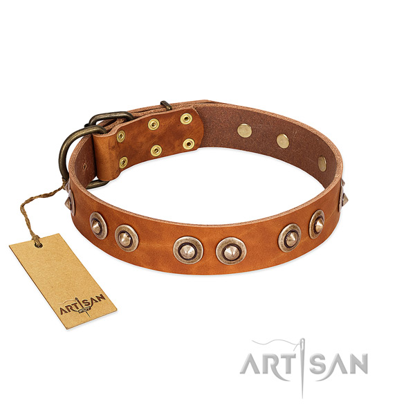 Strong hardware on full grain leather dog collar for your dog