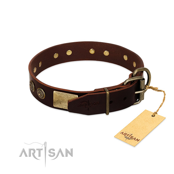 Rust-proof adornments on genuine leather dog collar for your four-legged friend