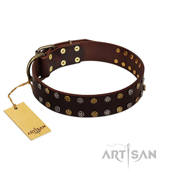 Daily use reliable full grain natural leather dog collar with adornments