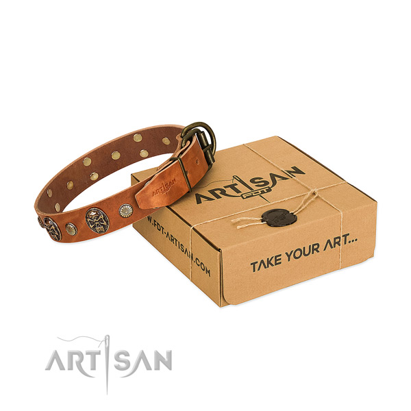 Rust resistant fittings on leather dog collar for easy wearing