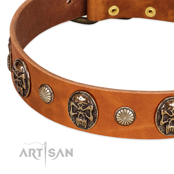 Corrosion proof traditional buckle on leather dog collar for your doggie