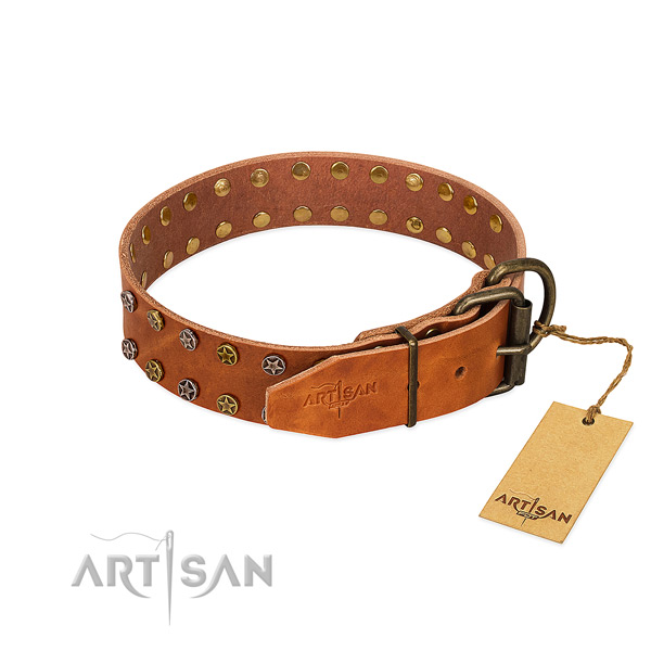Daily use full grain leather dog collar with impressive adornments