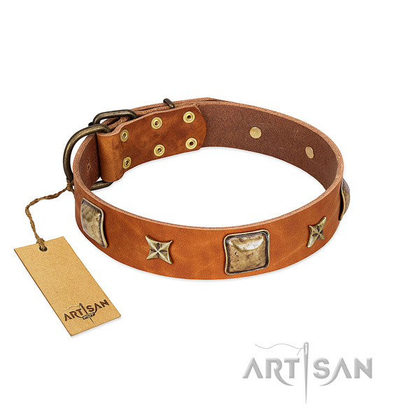 Perfect fit leather collar for your pet