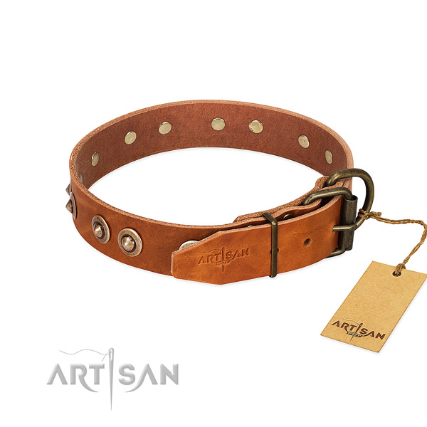 Corrosion proof fittings on leather dog collar for your pet