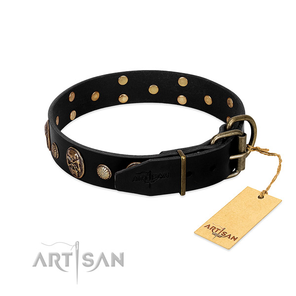 Rust-proof buckle on leather collar for fancy walking your canine