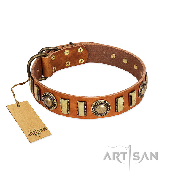 Best quality full grain natural leather dog collar with durable traditional buckle