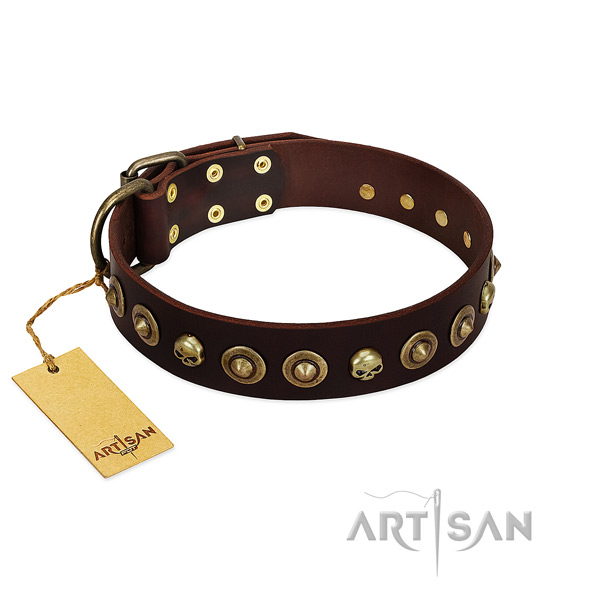 Full grain natural leather collar with top notch adornments for your dog