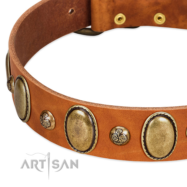 Genuine leather dog collar with trendy decorations