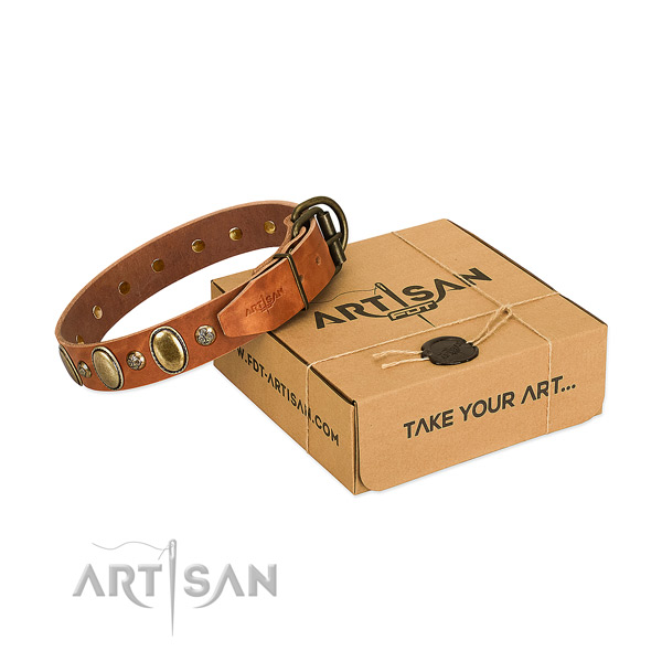 Adjustable full grain leather dog collar with reliable D-ring