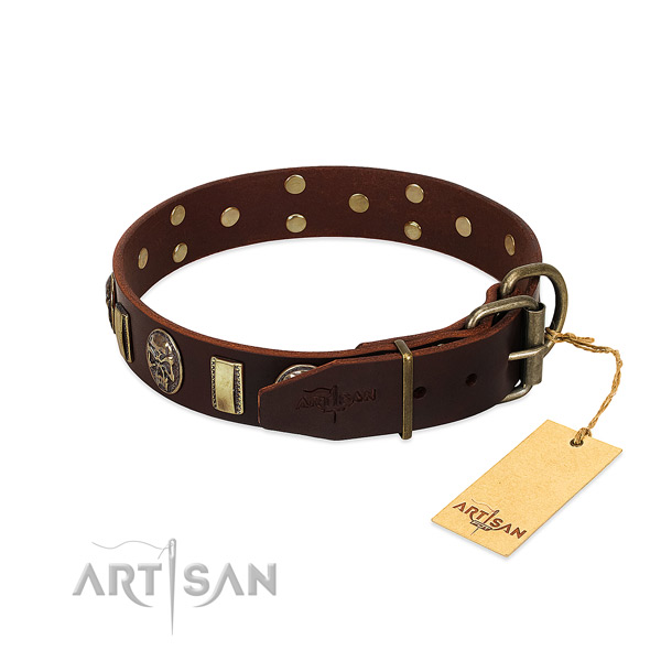 Leather dog collar with rust-proof fittings and adornments