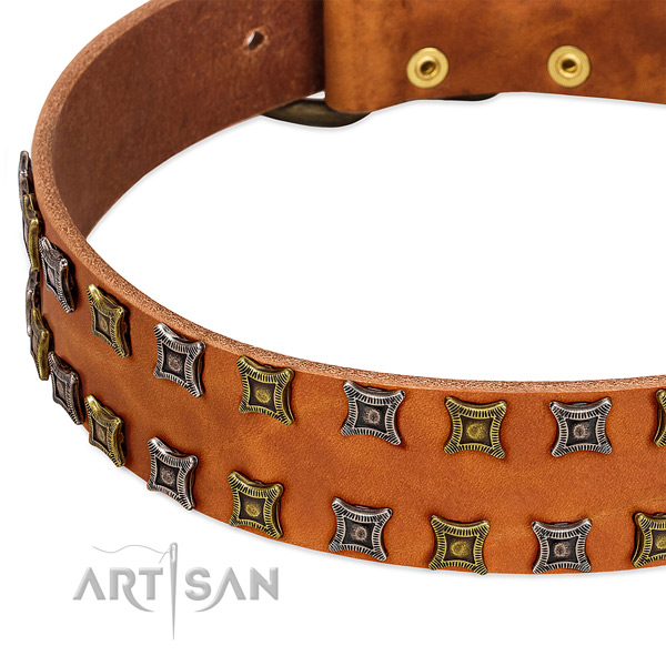High quality leather dog collar for your beautiful pet