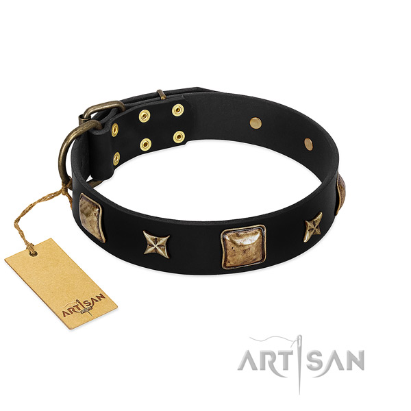 Genuine leather dog collar of flexible material with stylish embellishments