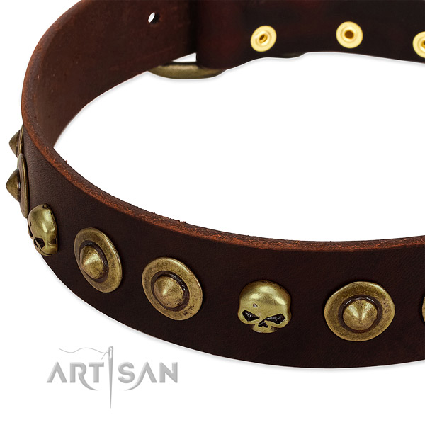 Stylish design embellishments on genuine leather collar for your doggie