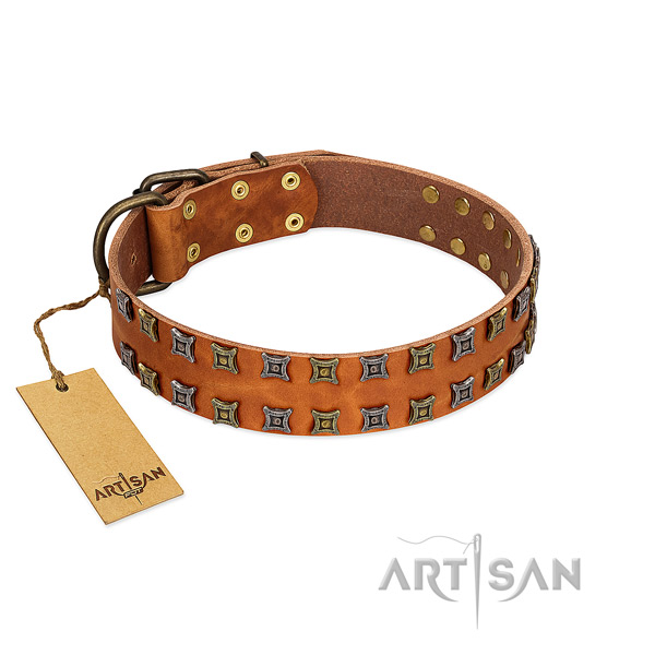 Best quality full grain genuine leather dog collar with adornments for your canine