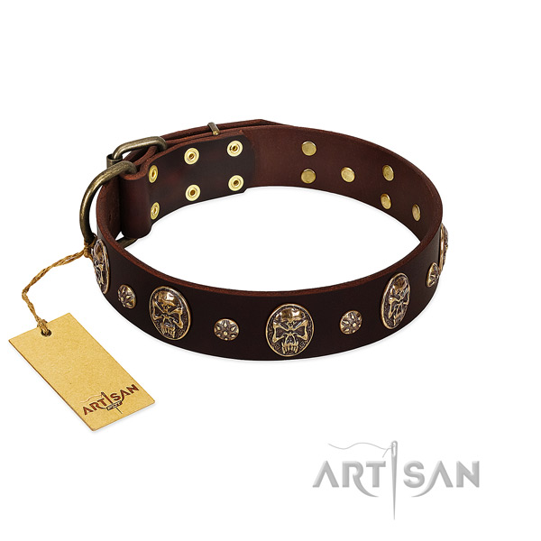 Incredible leather collar for your doggie