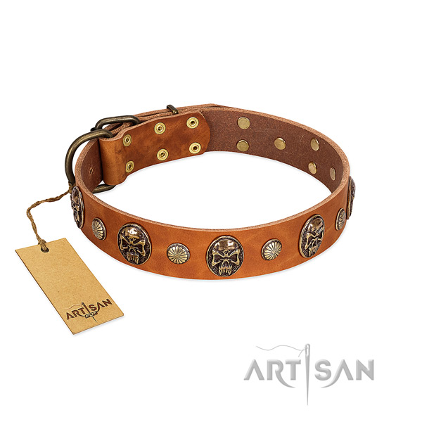 Stylish genuine leather dog collar for stylish walking