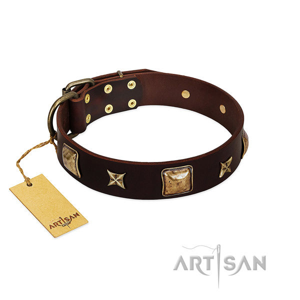 Remarkable genuine leather collar for your pet