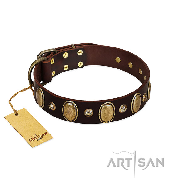 Natural leather dog collar of quality material with remarkable decorations