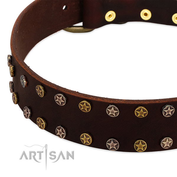 Walking full grain leather dog collar with stylish design embellishments