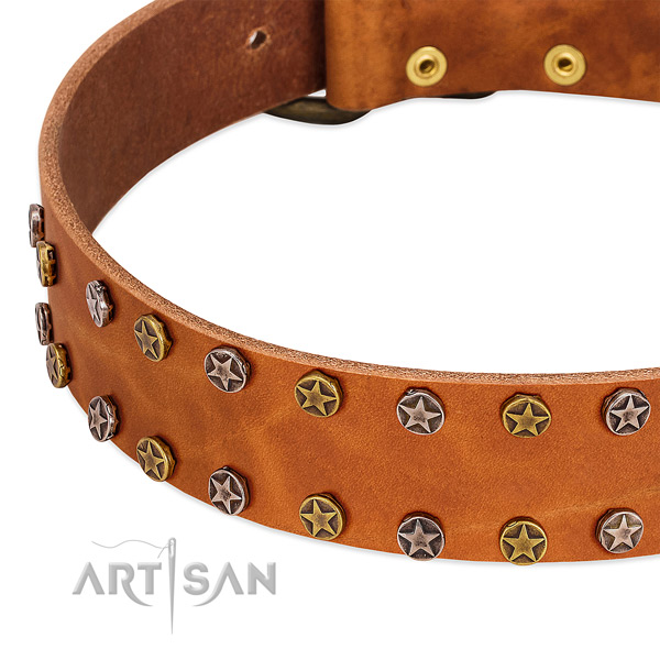 Walking full grain genuine leather dog collar with stunning embellishments