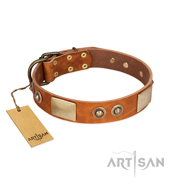 Adjustable genuine leather dog collar for basic training your doggie