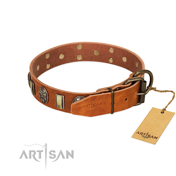 Full grain leather dog collar with durable hardware and embellishments