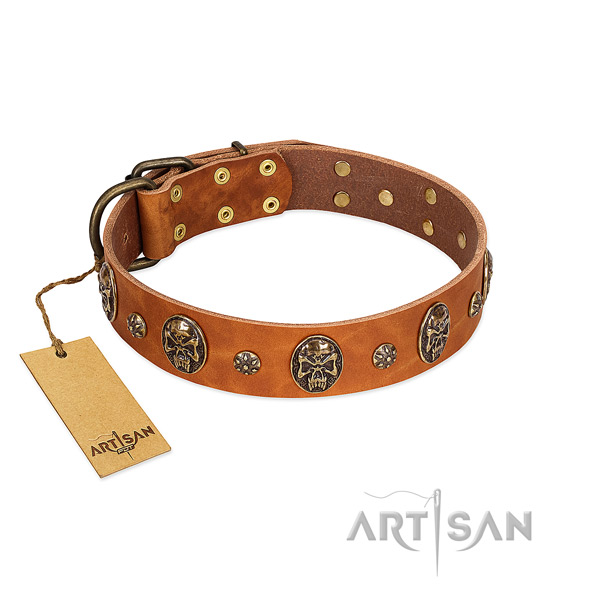Top notch full grain genuine leather collar for your four-legged friend