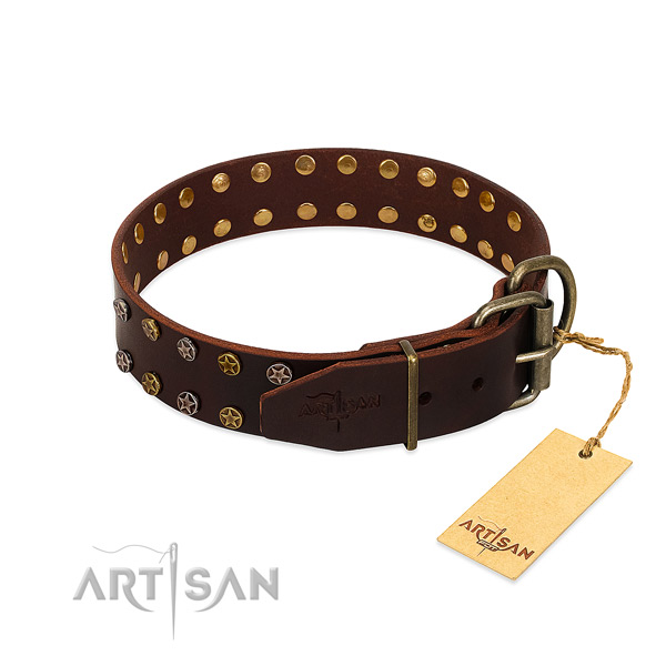 Daily walking full grain leather dog collar with trendy adornments