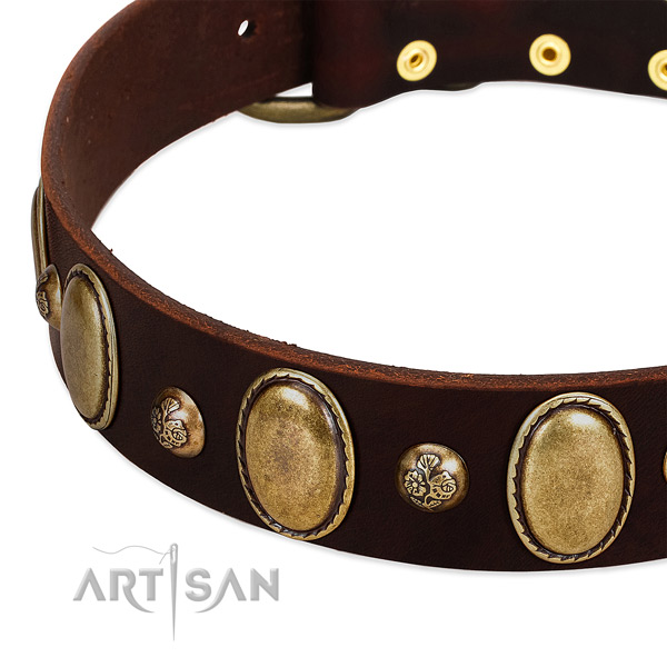 Leather dog collar with trendy studs