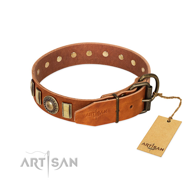 Impressive genuine leather dog collar with rust-proof fittings