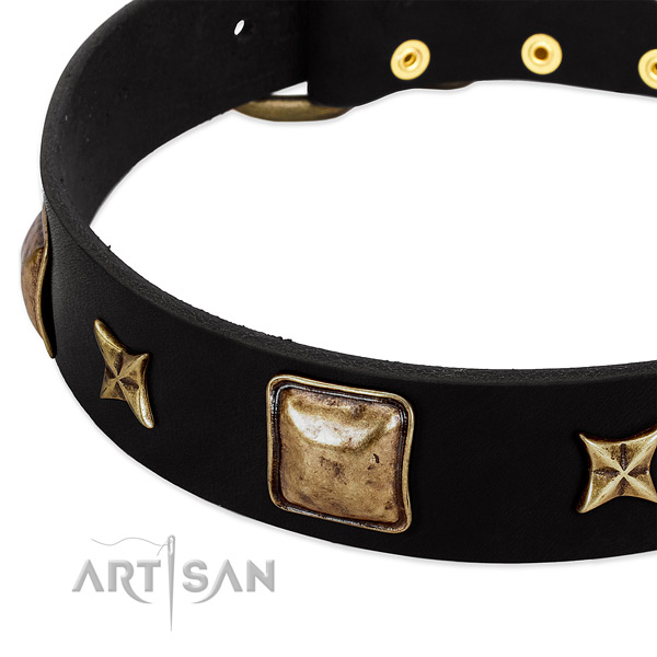 Natural leather dog collar with stylish studs